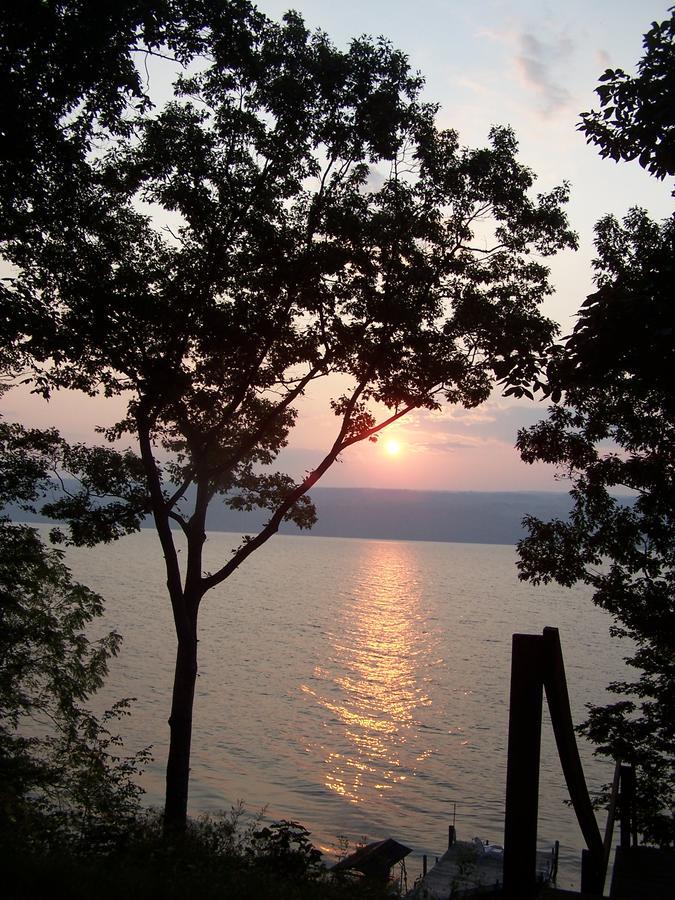 Dundee Sunrise Landing Bed And Breakfast المظهر الخارجي الصورة